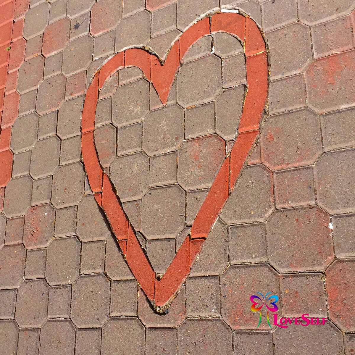 LoveSelfGF's tweet image. Look around. Love is everywhere. #loveself #gratitude #healingpowerfully