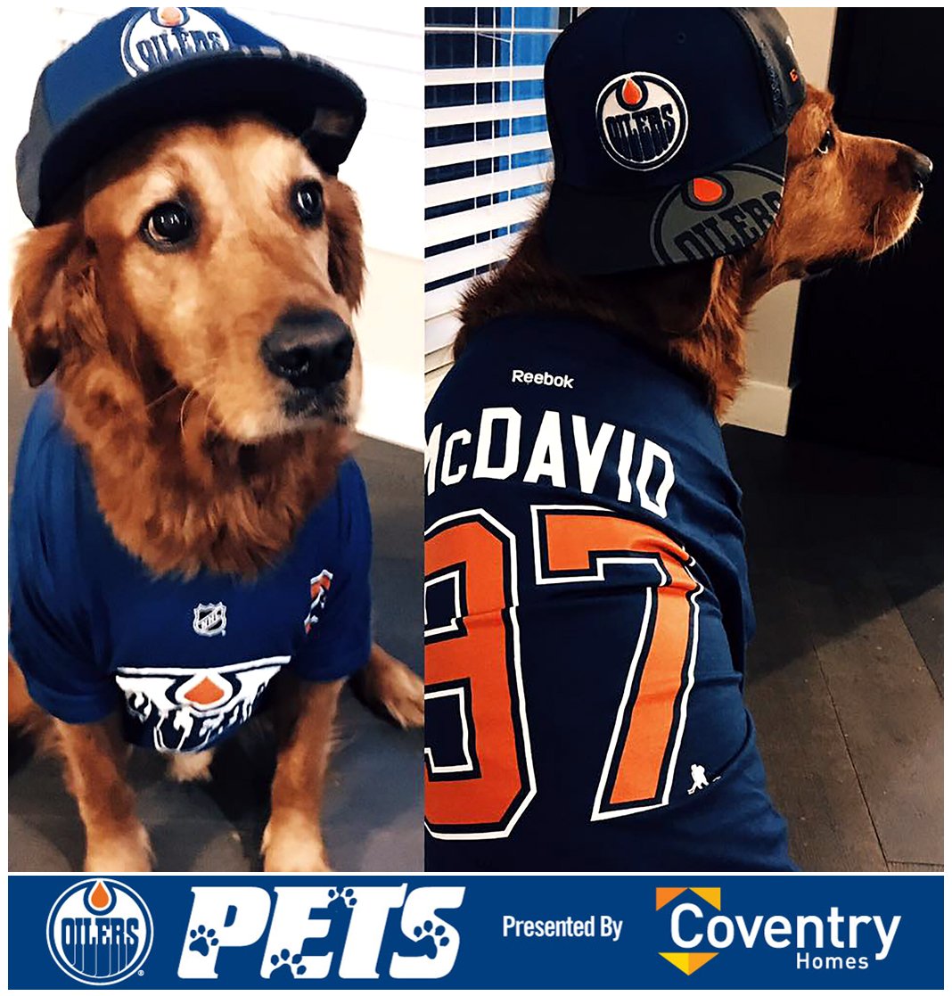 oilers dog jersey
