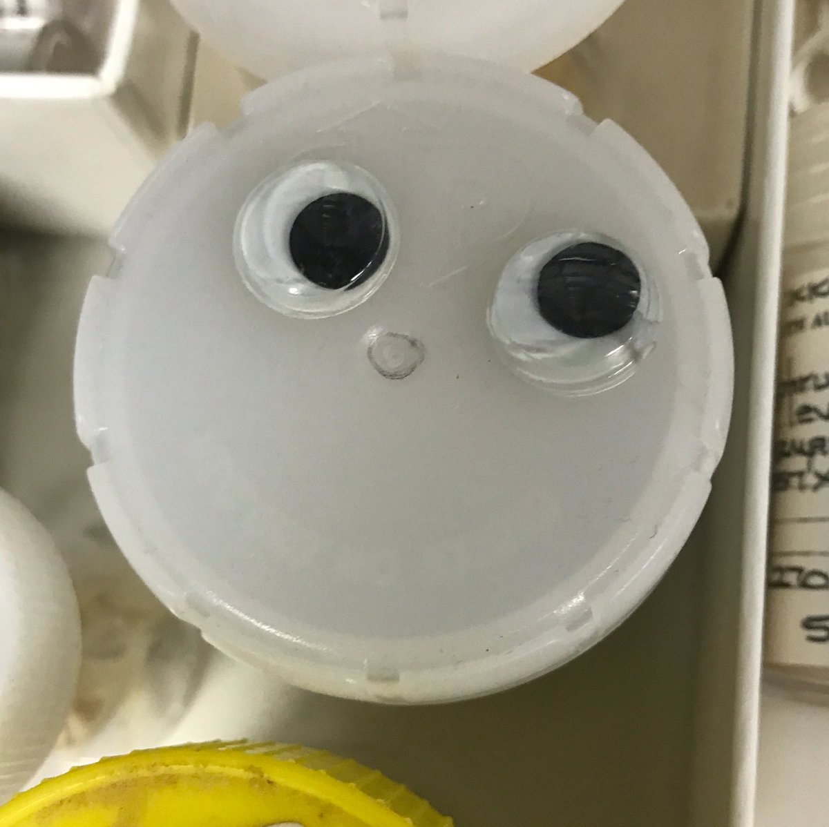 fupalaeosoc's tweet photo. The things you find in the depths of museum collections... #dontdropthefossil #alwayssomeonewatching https://t.co/0mhcqCIQiH