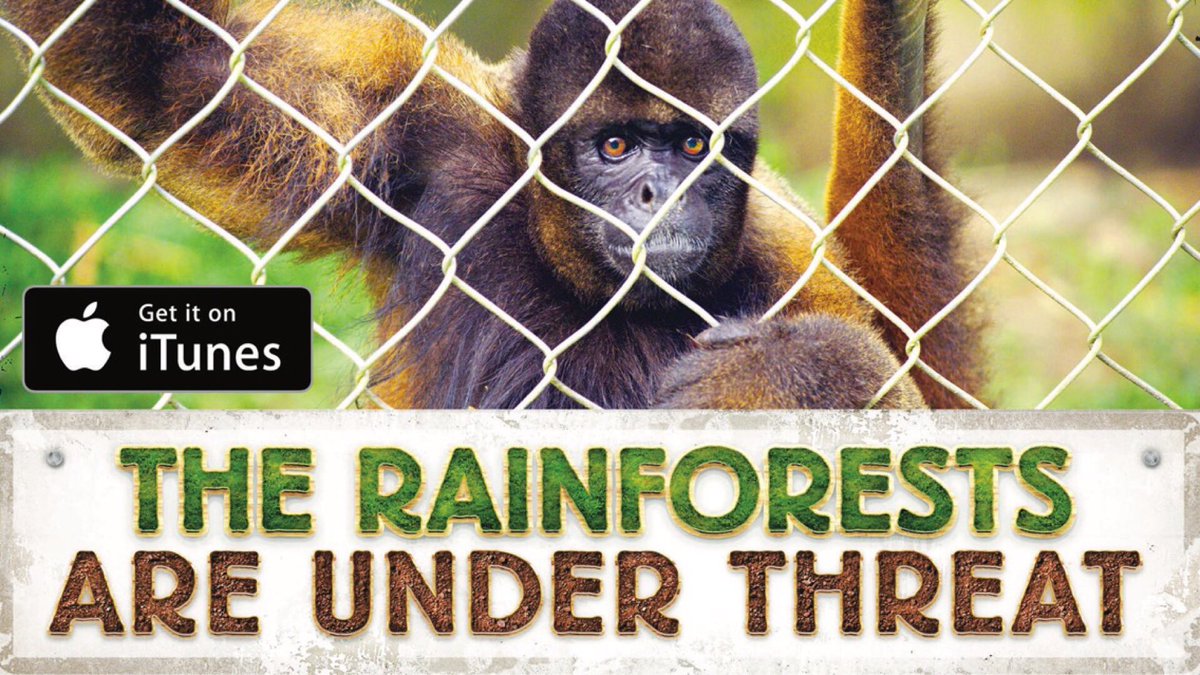rainforestsperu's tweet photo. Watch digitally HD now on #iTunes  - https://t.co/iFVusQEAVB

#rainforests  #fauna #flora #species #animals #monkeys #mercury #pollution https://t.co/QoGhJ9CV5Y