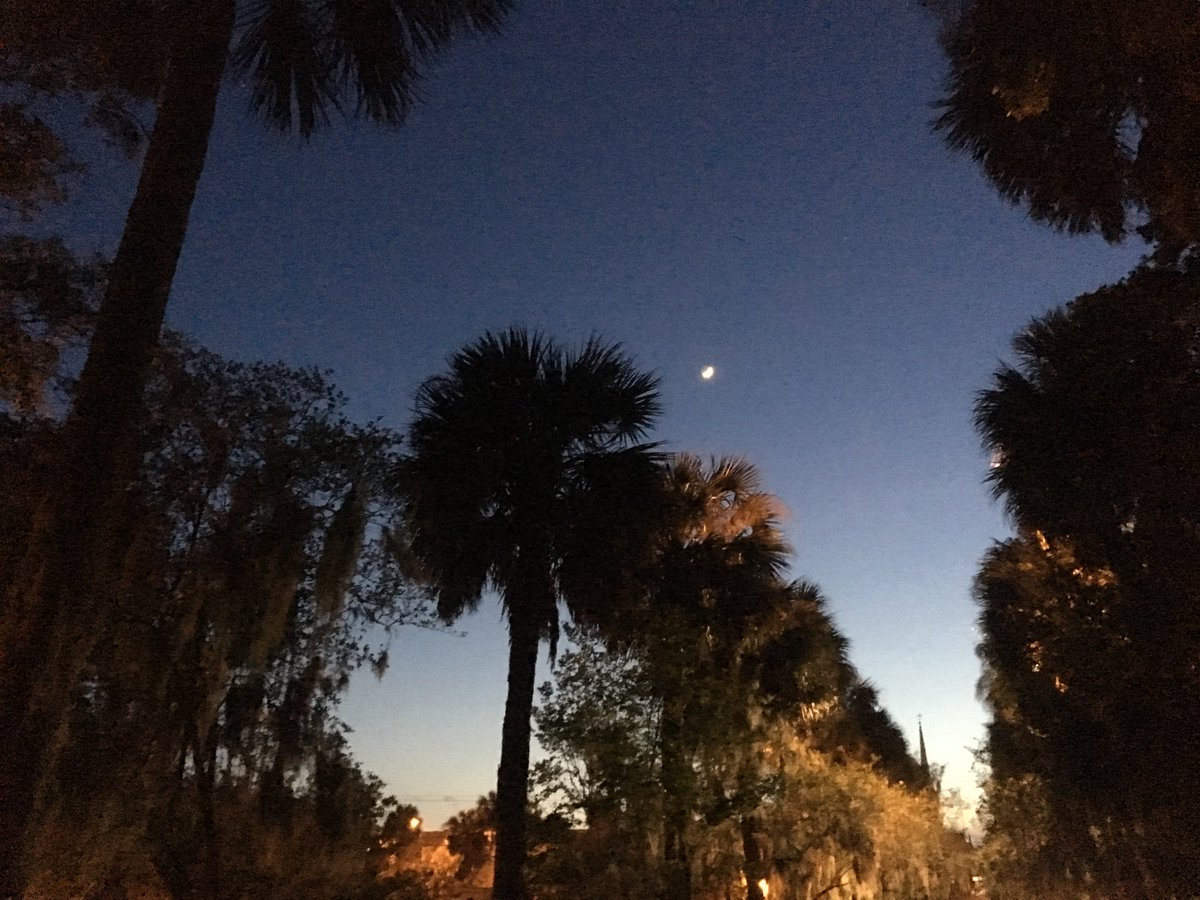 Southern Strolls (@southernstrolls) on Twitter photo 