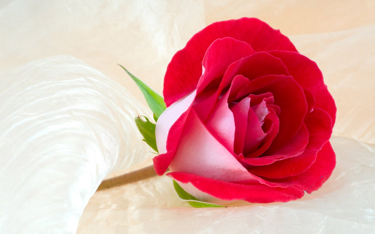 Jameswright953 tweet picture