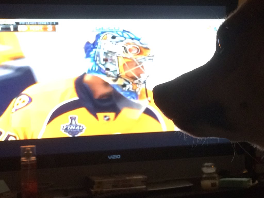 jtighe08's tweet photo. Tye Tighe says #letsgopreds #Smashville time in SC #dogsoftwitter #hockeyfans #PredatorFans @PredsNHL #StanleyCup https://t.co/ugaN8gOjAA