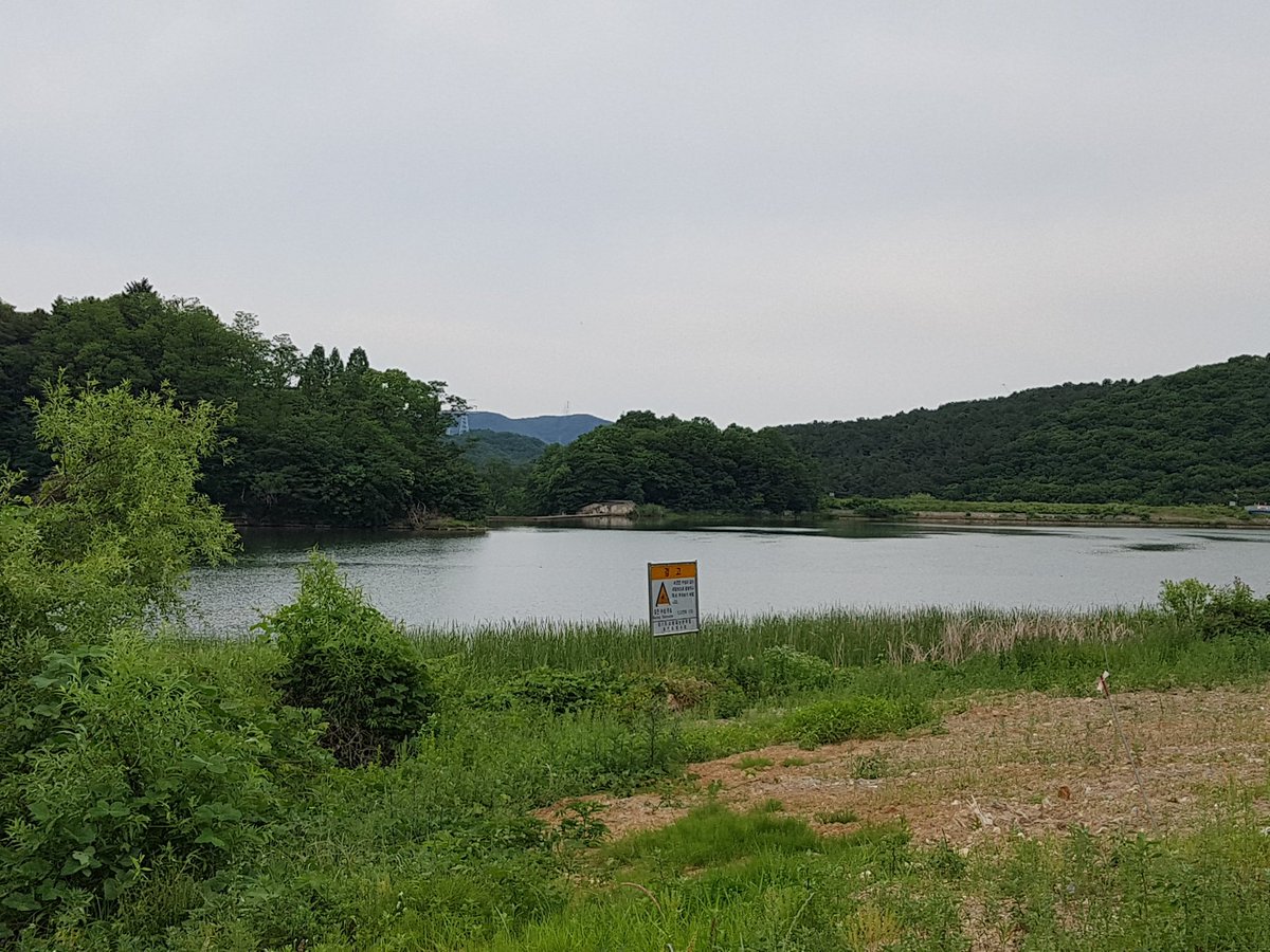 #성남시 #환경정책과 잠시 주춤하던 AI가 다시 심각해지면서 대왕.운중 등 저수지에 대해 예찰활동을 하고 있네요 철새는 이미 북상하여 저수지에는 텃새화된 흰빰검둥오리, 민물가마우지 등이 소수 서식하고 있습니다. 큰피해없이 AI가 빨리 지나가길 바랍니다