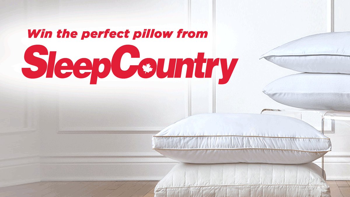 sleep country pillows