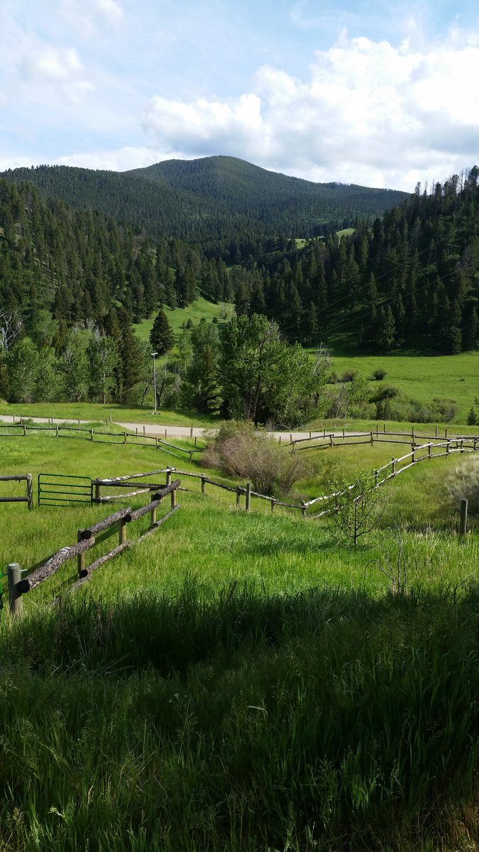 millsj08's tweet photo. Can't beat this view. Living up the summer life, Montana style. #bigskycountry #flyingDranch https://t.co/TH2Wv1HOGz