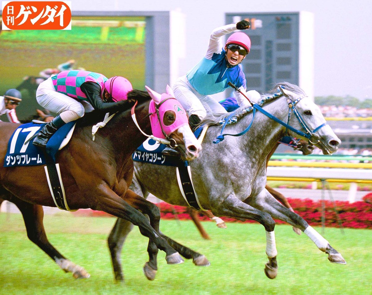 アドマイヤコジーン、死亡】 6日朝、種牡馬として繋養されていた