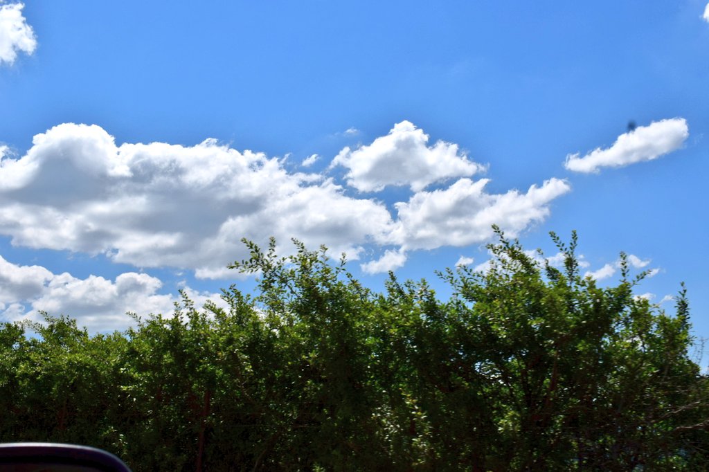 Lubene9's tweet photo. "Ogni cosa che puoi immaginare, la natura l’ha già creata."
(Albert Einstein)@Basilicata_Tur @italia @MiBACT https://t.co/SCFsQJfsPC