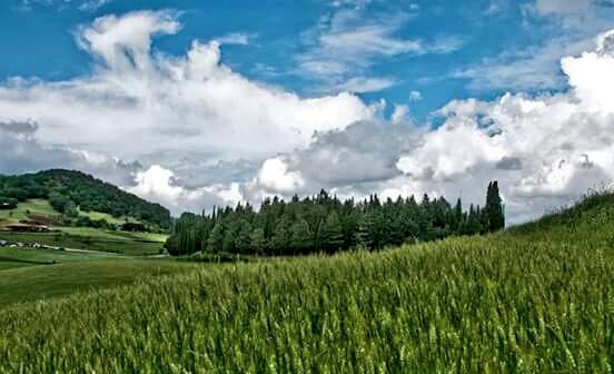 Lubene9's tweet photo. "Ogni cosa che puoi immaginare, la natura l’ha già creata."
(Albert Einstein)@Basilicata_Tur @italia @MiBACT https://t.co/SCFsQJfsPC