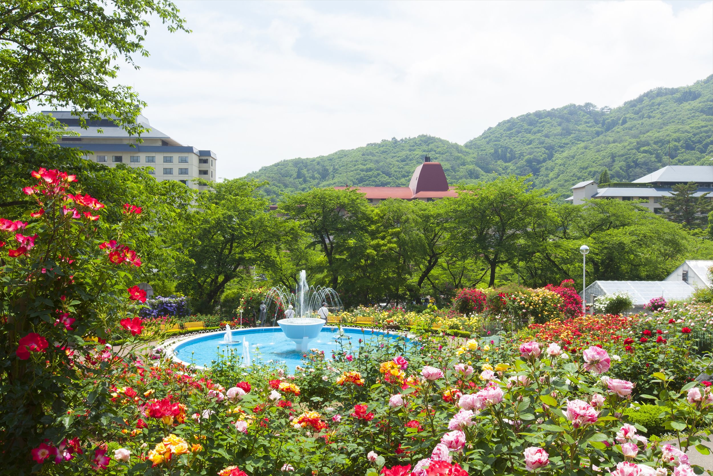 Twitter 上的 岩手の温泉 花巻温泉 公式 花巻温泉バラまつり 6 11開催 申込締切は6 9まで 花巻温泉のバラ園 稲荷神社 釜淵の滝でコスプレ撮影会 お申込み方法 イベント詳細はurlよりご確認ください T Co Hwxrf8lfkf 花巻温泉 バラまつり