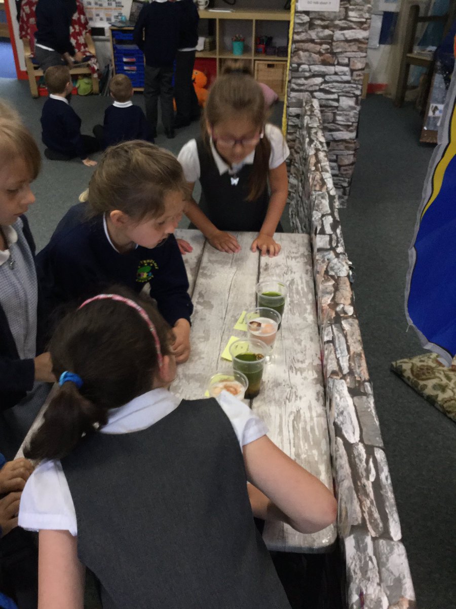 sandramason1234's tweet photo. "Why are there bubbles on some of the eggs but not the others?" "Why does the food colouring make a difference?" #hartsholmescientists https://t.co/gOllG90pZE