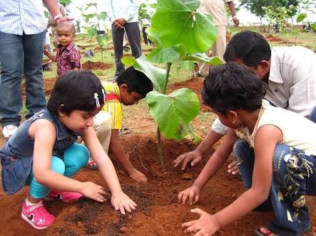 TheGreenIndia's tweet photo. As per report, Trees Per Head in Various Countries Are as Follow. Canada : 8953
Russia: 4461
USA: 716
China: 102
INDIA: 28* https://t.co/61Dg58LGaf