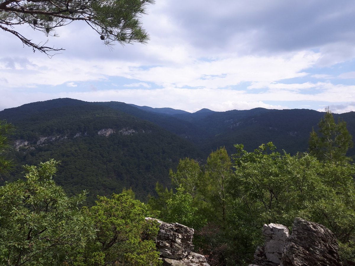 #BenimAdımZeytin Kazdağları'nın henüz el değmemiş yerlerinden selamlar saygılar günaydınlar herkese.