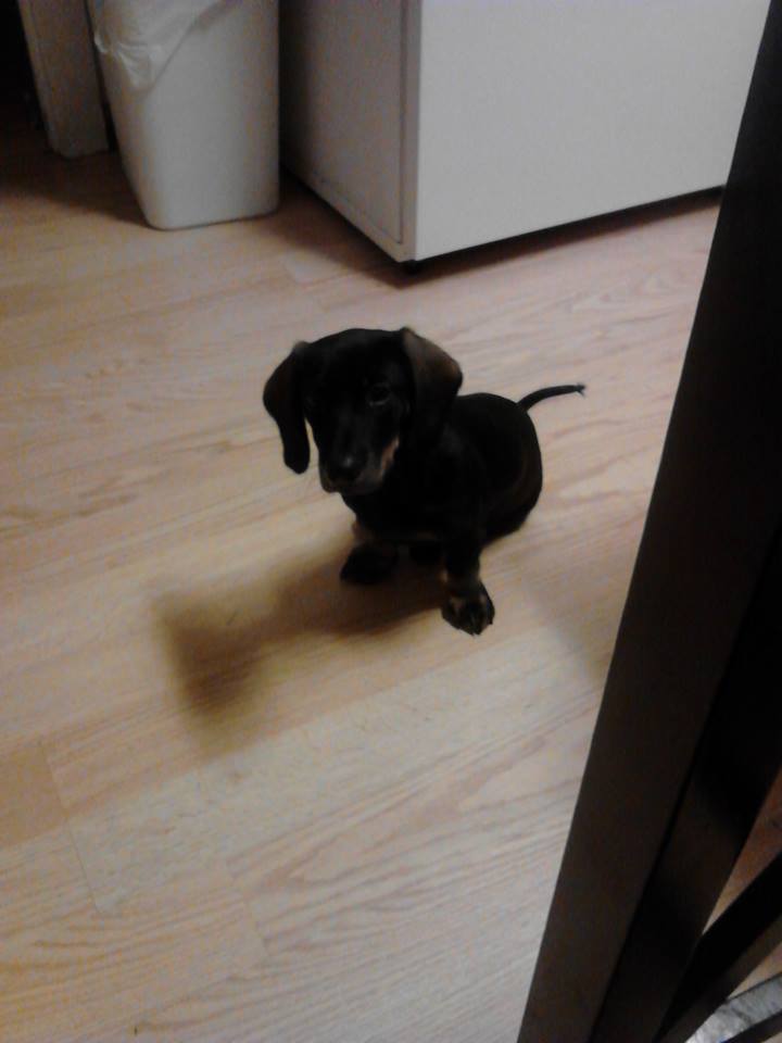 Coojad's tweet photo. THIS GUY TURNED 3 TODAY. GOD BLESS. https://t.co/nOEAJRLbHN