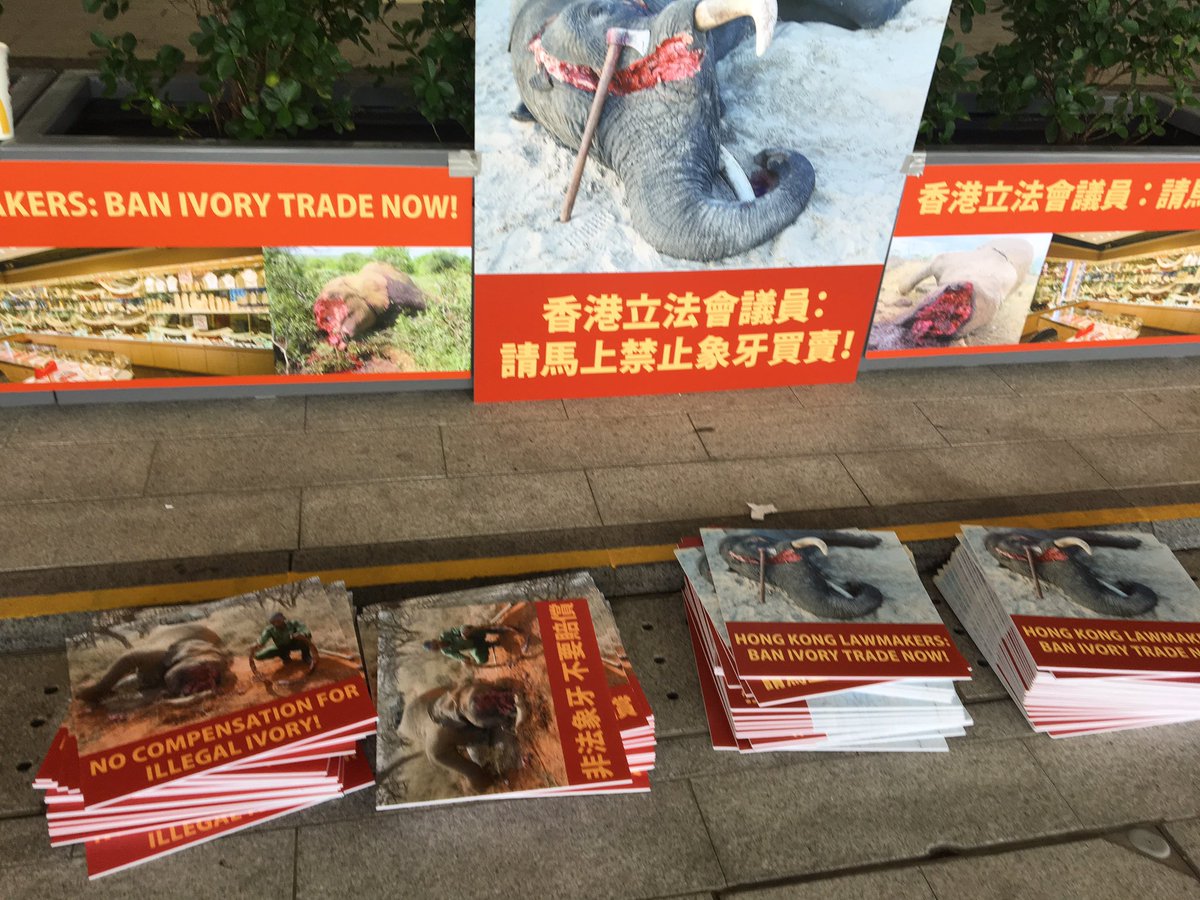NgRosana's tweet photo. 立法局門前為大象請命。香港立法會議員：請馬上禁止象牙買賣！ https://t.co/rgCJduBrB9
