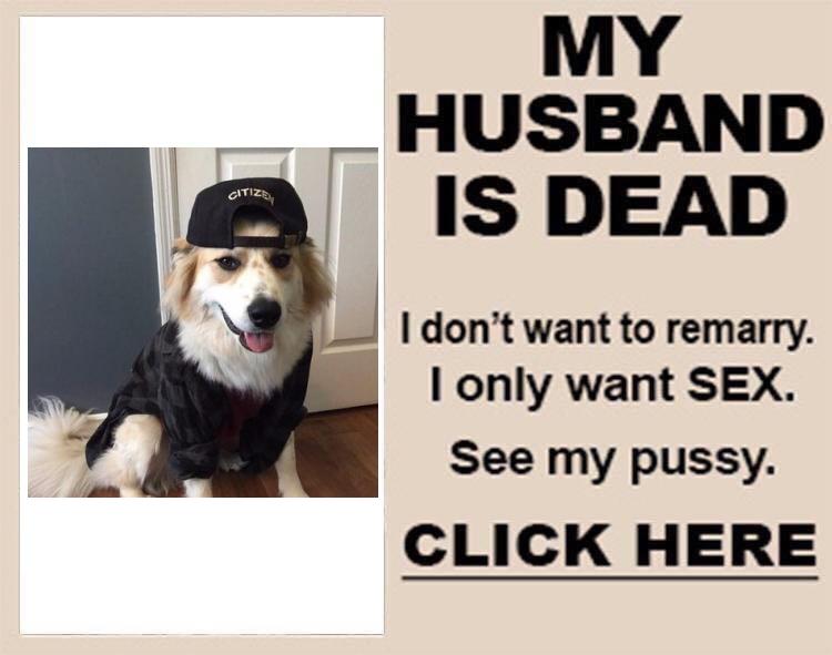 ShitpostBot5000's tweet image. 