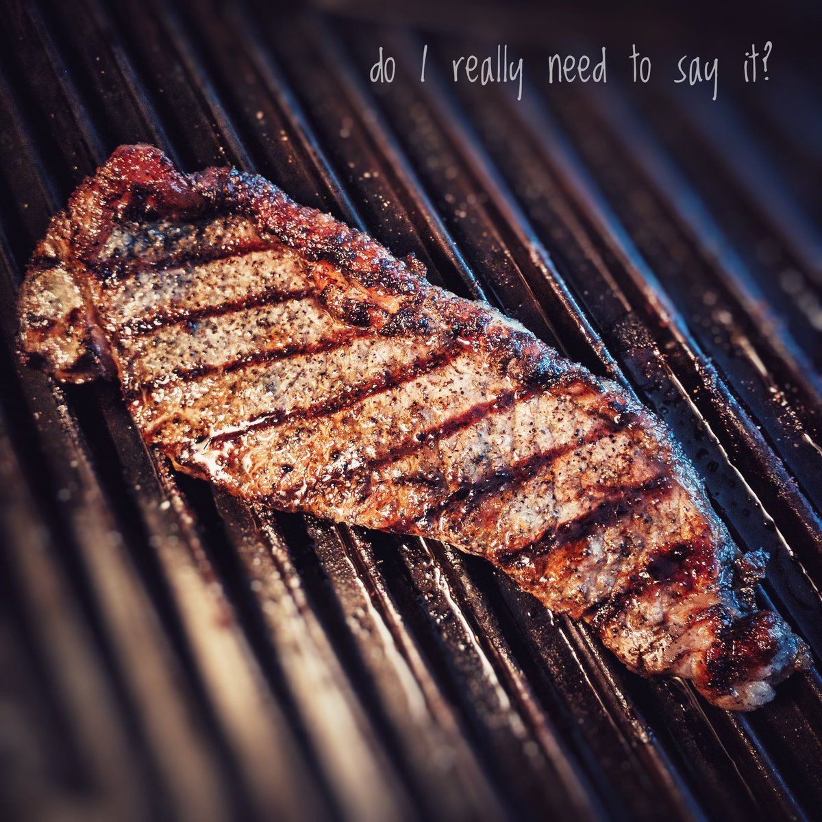 ChefStephKing's tweet photo. Need I say more bout #dinner?
#foopo #Foodiechats #foodporn #steak #stephskitchenchronicles #stephsfoodchronicles #foodiechronicles https://t.co/Vn7e7zTBoE