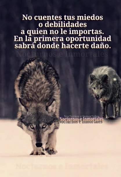 caroplataa's tweet image. #FelizMartes #MartesDeGanarSeguidores  Tengan buen dia gente bella, bendiciones y besos..:-)