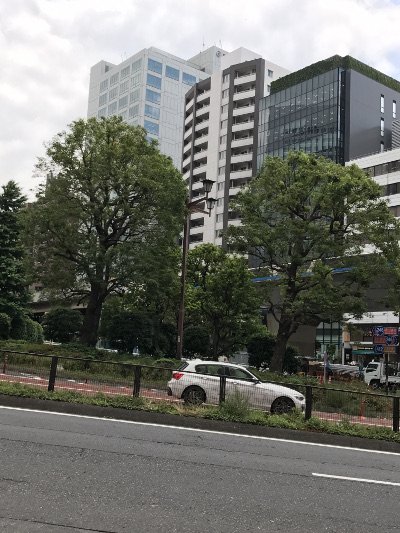 iPhoneRepairTYO's tweet image. もうすぐ梅雨入りかも
お出かけには雨具が手放せなくなりそうです

当店は、今日も営業中！
iPhone・iPad・iPod・Androidの修理ならお任せ

iPhone修理王・渋谷警察署前店
03-6805-0044
渋谷区渋谷2-22-7-5F
#iPhone #修理 #渋谷