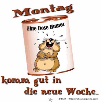 #TL wunderbare Tag wünsche ich Euch🤓☀️🌺nur net stressen lassen 👻😘