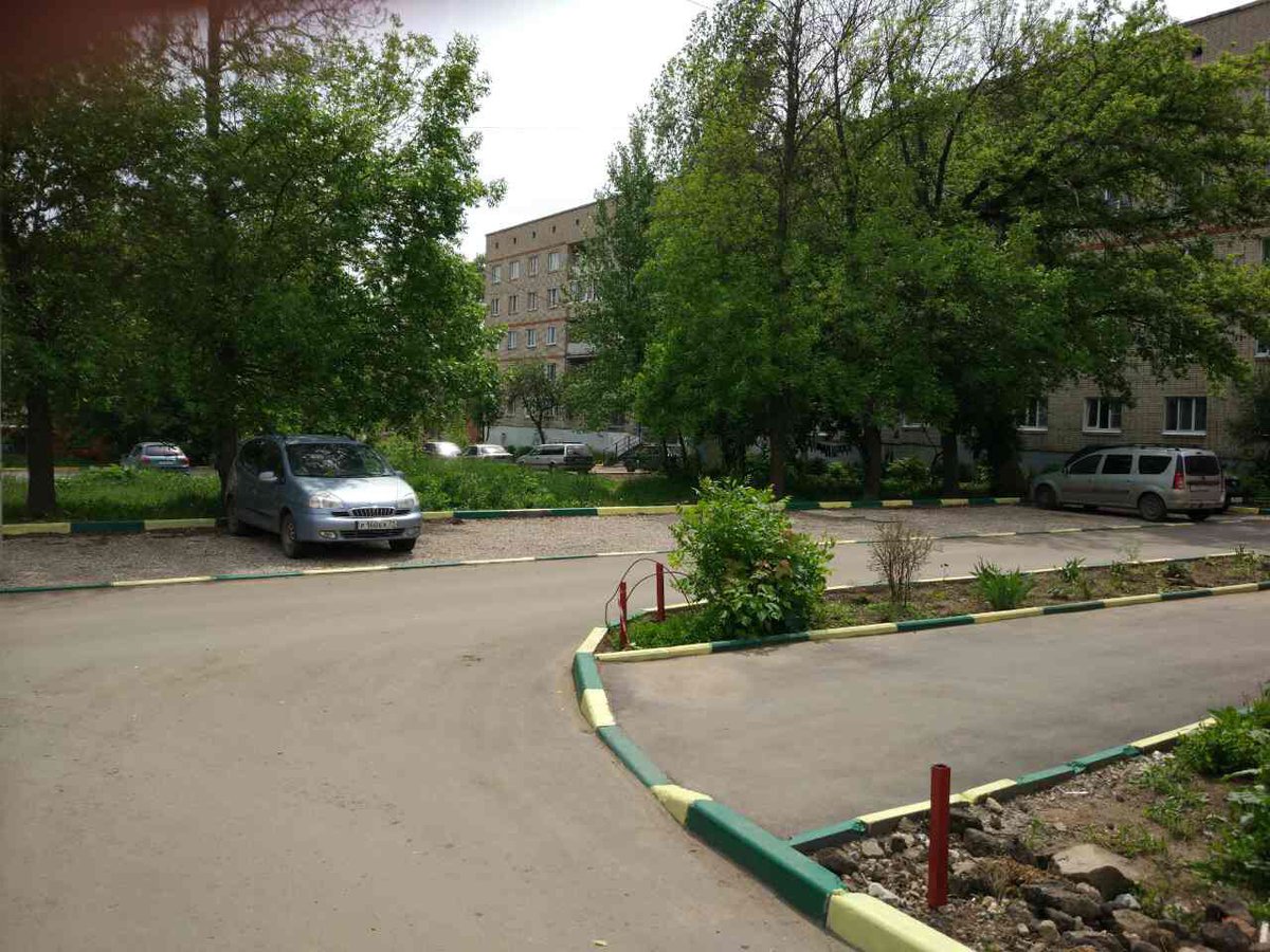 ass_tehnik's tweet photo. Покраска бордюра и вывоз веток. https://t.co/E56LvlTPrO