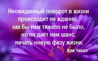 Неожиданный поворот в жизни животных Неожиданный поворот в жизни животных