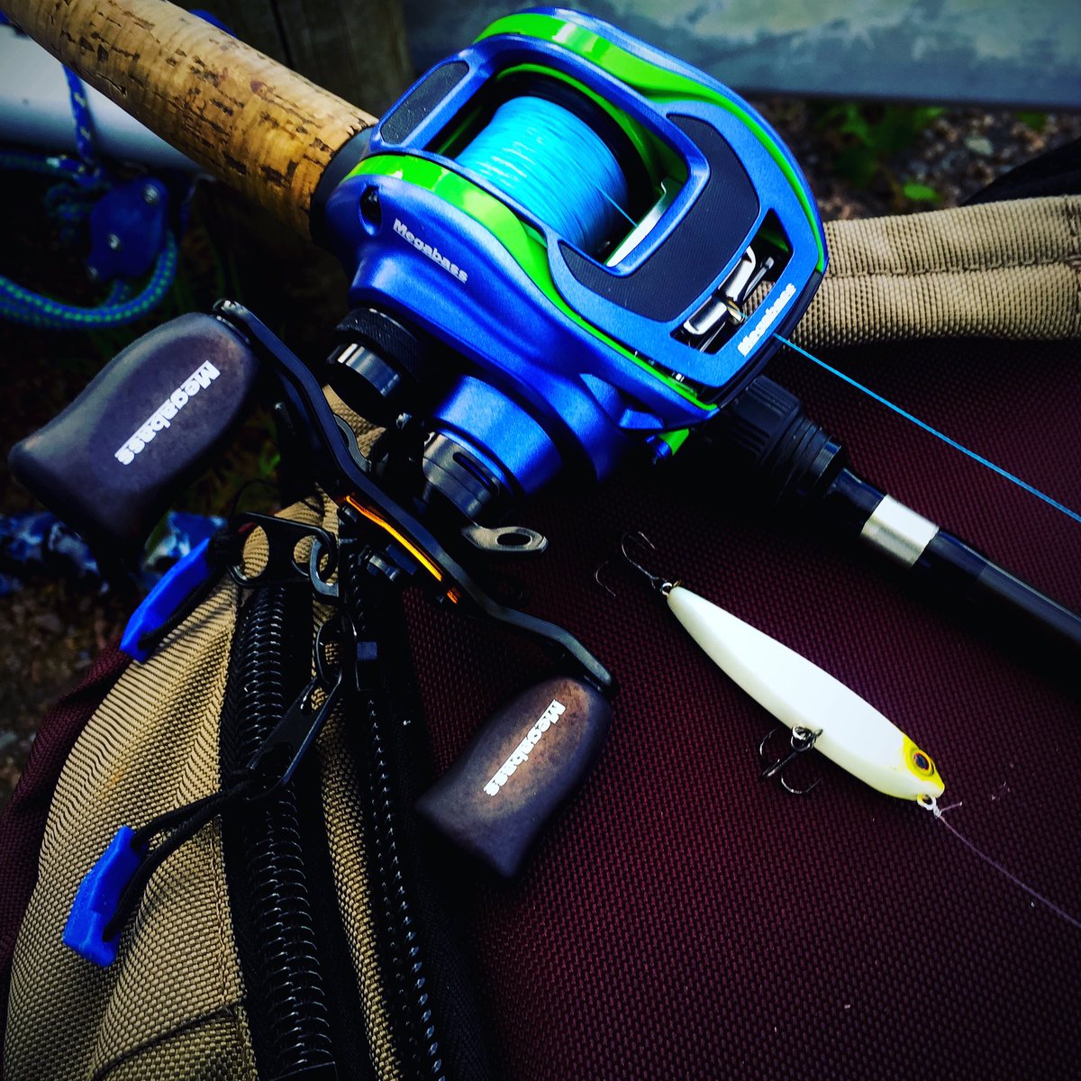 Hmmmmm... tarty #megabass <a href="/jasonvorster01/">Jason</a> @MegabassUSA