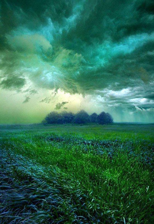 BianchiNRoma's tweet photo. #Angels do not speak
through vocal chords..
instead they know our 
thoughts &amp; communicate
with feelings through the HEART...
            ~♥~ https://t.co/0yAuM1LF9g