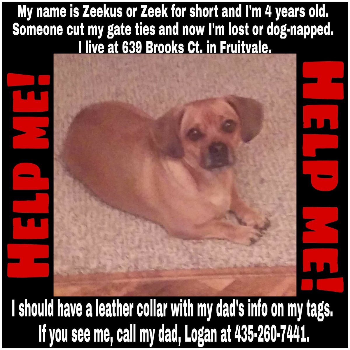 Bernadette M. Martinez (she/her/hers) tweet media