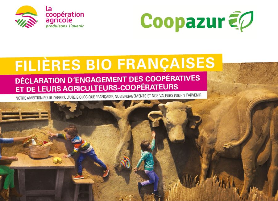 Coopazur tweet media