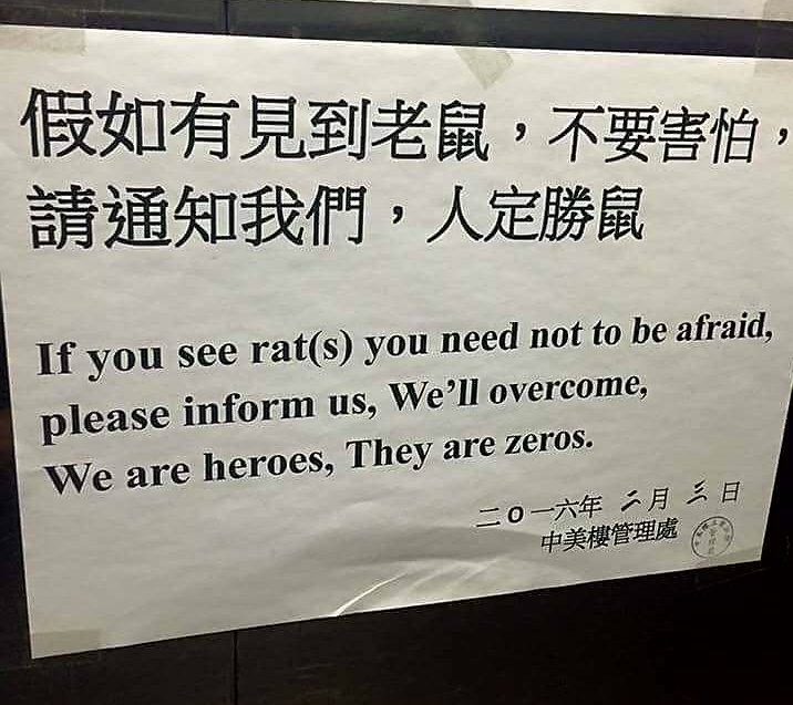 Grand_DM's tweet photo. Advice for all 1st level adventurers. #dnd #rpg #tabletop https://t.co/MR6k5uJWRK