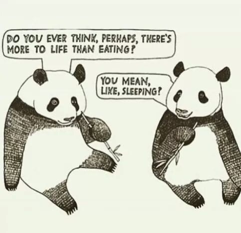 bcSharonZ's tweet photo. #PandaTalk https://t.co/Ia3ye0RhPC
