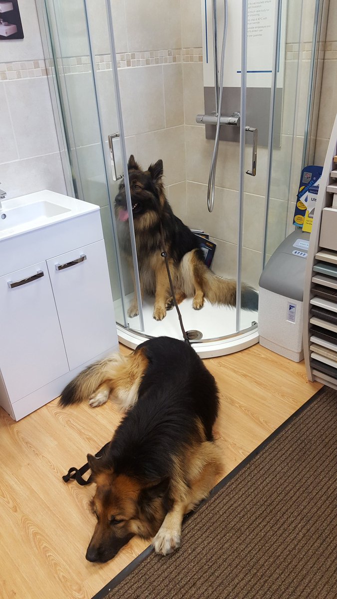 @IonicByMerlyn <a href="/MerlynShowering/">@merlynshowering</a> @IonicByMerlyn <a href="/MerlynShowering/">@merlynshowering</a> his mate doesn't look quite as impressed though..!!😃😃