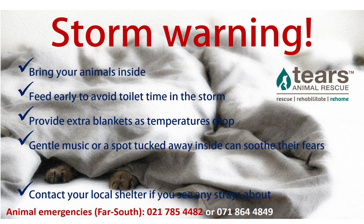 Animal emergencies (Far-South): 021 785 4482 or 071 864 4849
#capestorm #DikWednesday #stormyweather