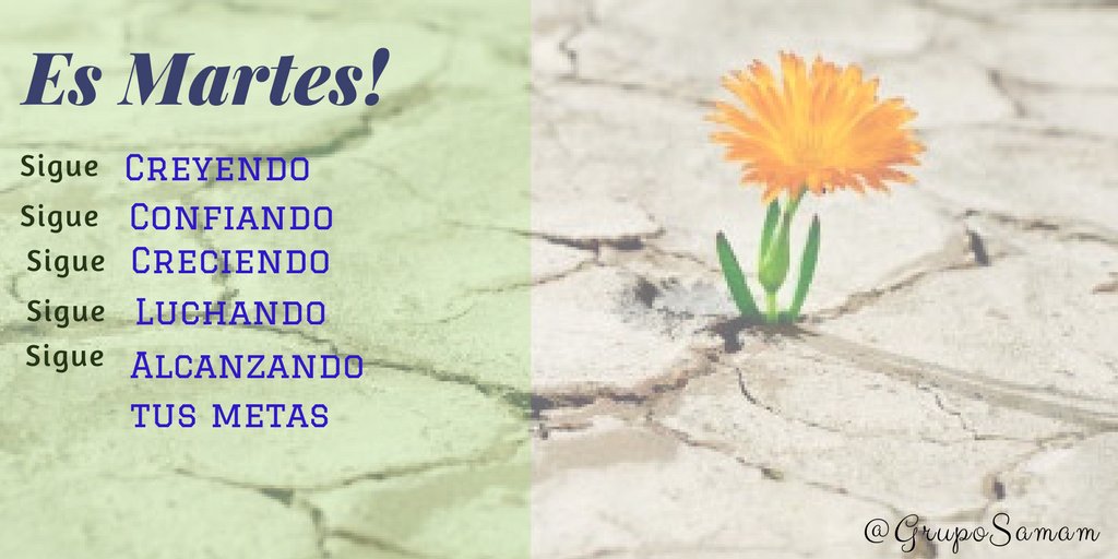 ClinicaSamam's tweet photo. #FelizMartes
#6Jun
#SamamContigo
#SaluTips
#emprendedores 
#MartesDeGanarSeguidores https://t.co/pfiiQhJ1YP