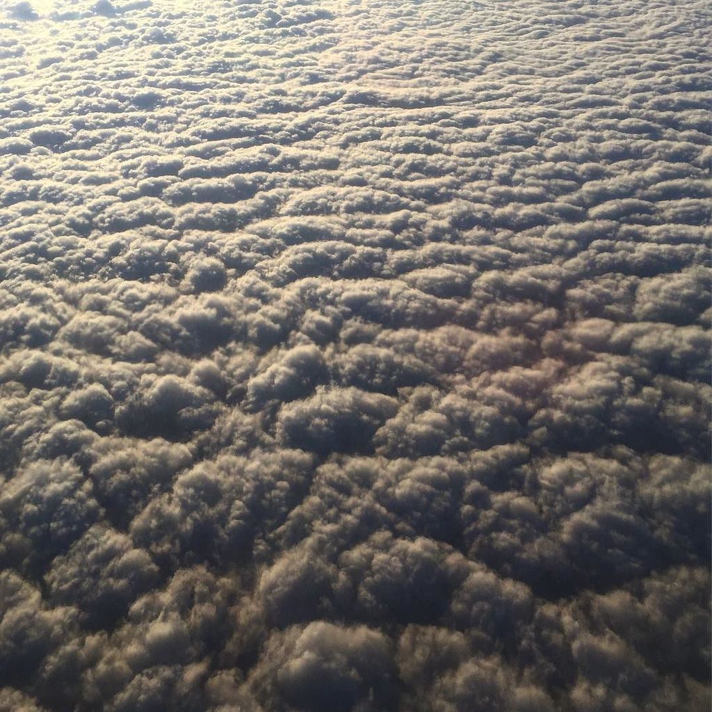HalftoneShow's tweet photo. #broccoliclouds https://t.co/RDQhgK91O3 https://t.co/AFf0mqMTs5
