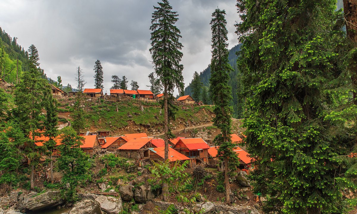 IndusDale's tweet image. Neelum Valley (literally, the Blue Gem Valley)
#DiscoverPakistan #discoverneelumvalley
lets explore the beauty of #Kashmir