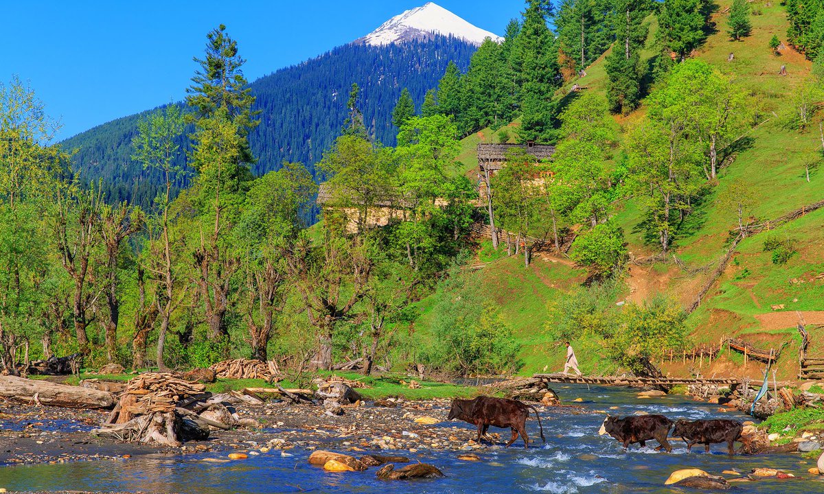 IndusDale's tweet image. Neelum Valley (literally, the Blue Gem Valley)
#DiscoverPakistan #discoverneelumvalley
lets explore the beauty of #Kashmir