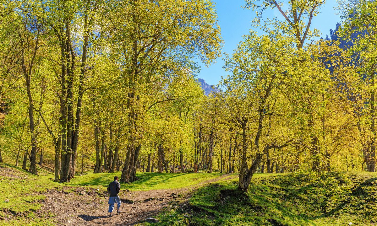 IndusDale's tweet image. Neelum Valley (literally, the Blue Gem Valley)
#DiscoverPakistan #discoverneelumvalley
lets explore the beauty of #Kashmir