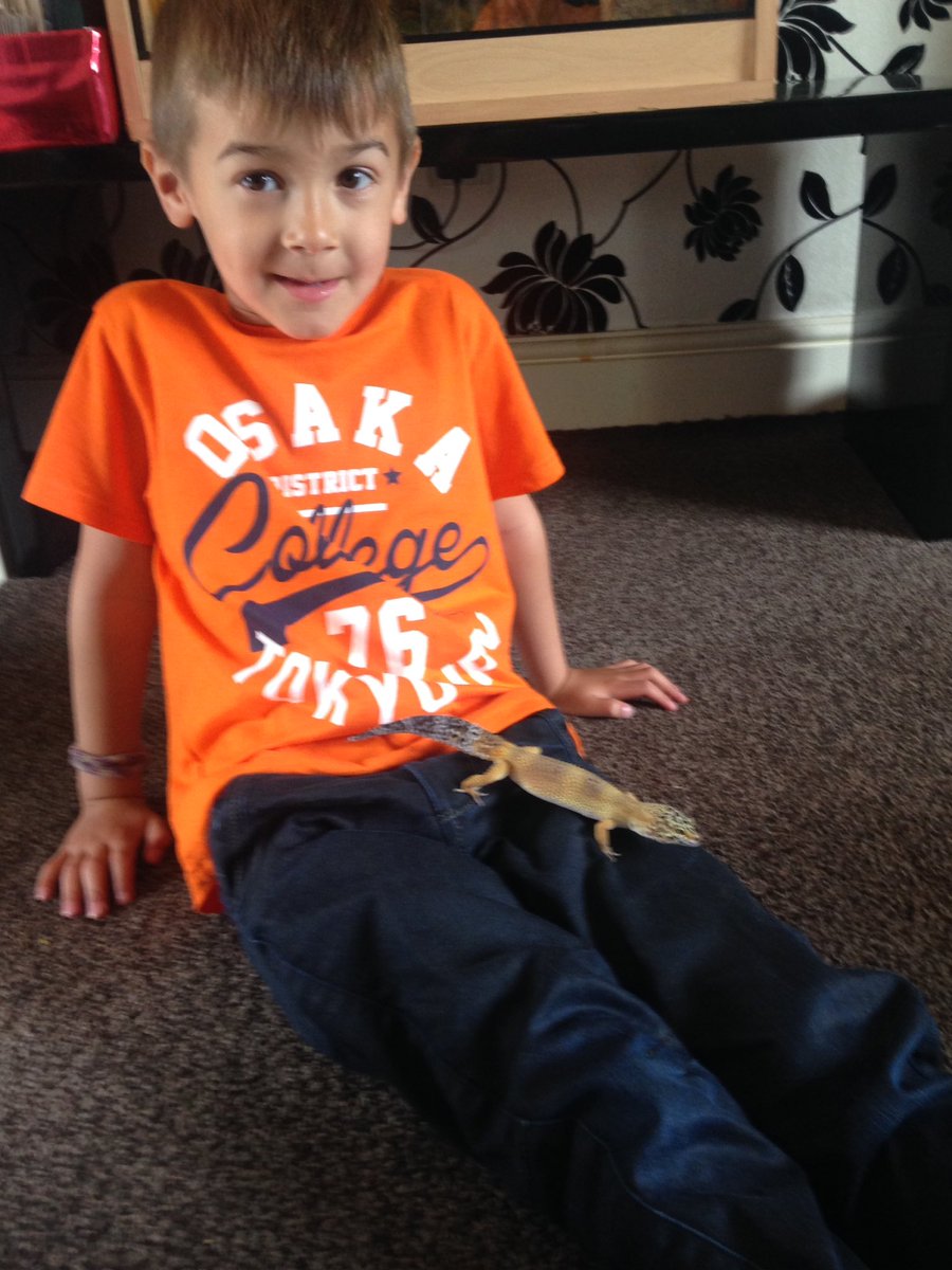Kerry61624997's tweet photo. Oliver with Bill the gekko @PFPSMissW https://t.co/PRrVSc4ydS