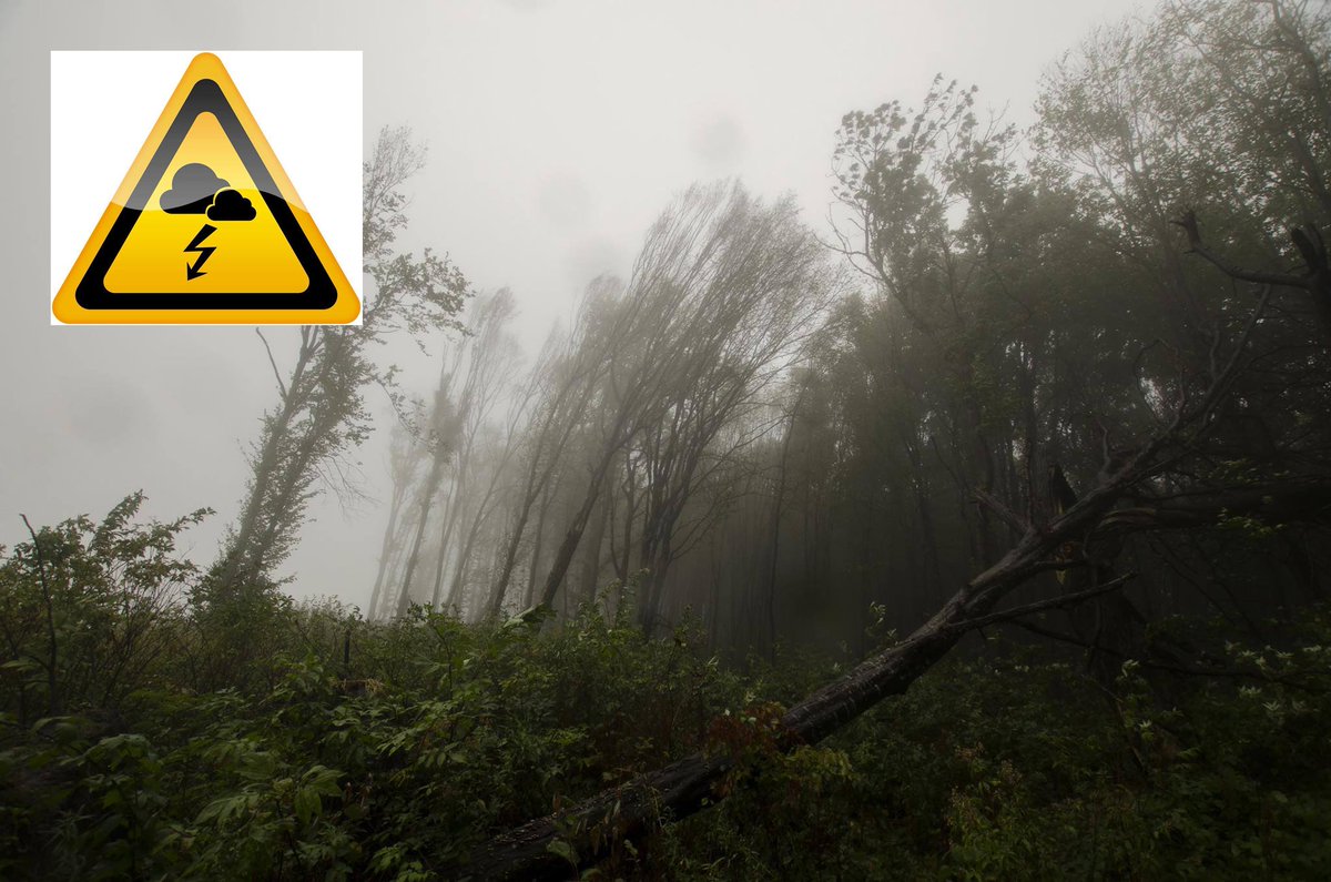 Provincie raadt af om provinciale domeinen &amp; bossen te betreden tot 19 uur. Er wordt stevig onweer met rukwinden tot 100 km/u verwacht!