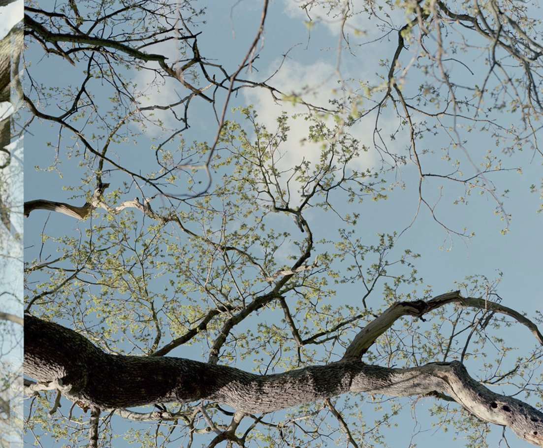 New images up on lukeandnik.co.uk from projects we have been proud to be part of over the last couple of months 🙂