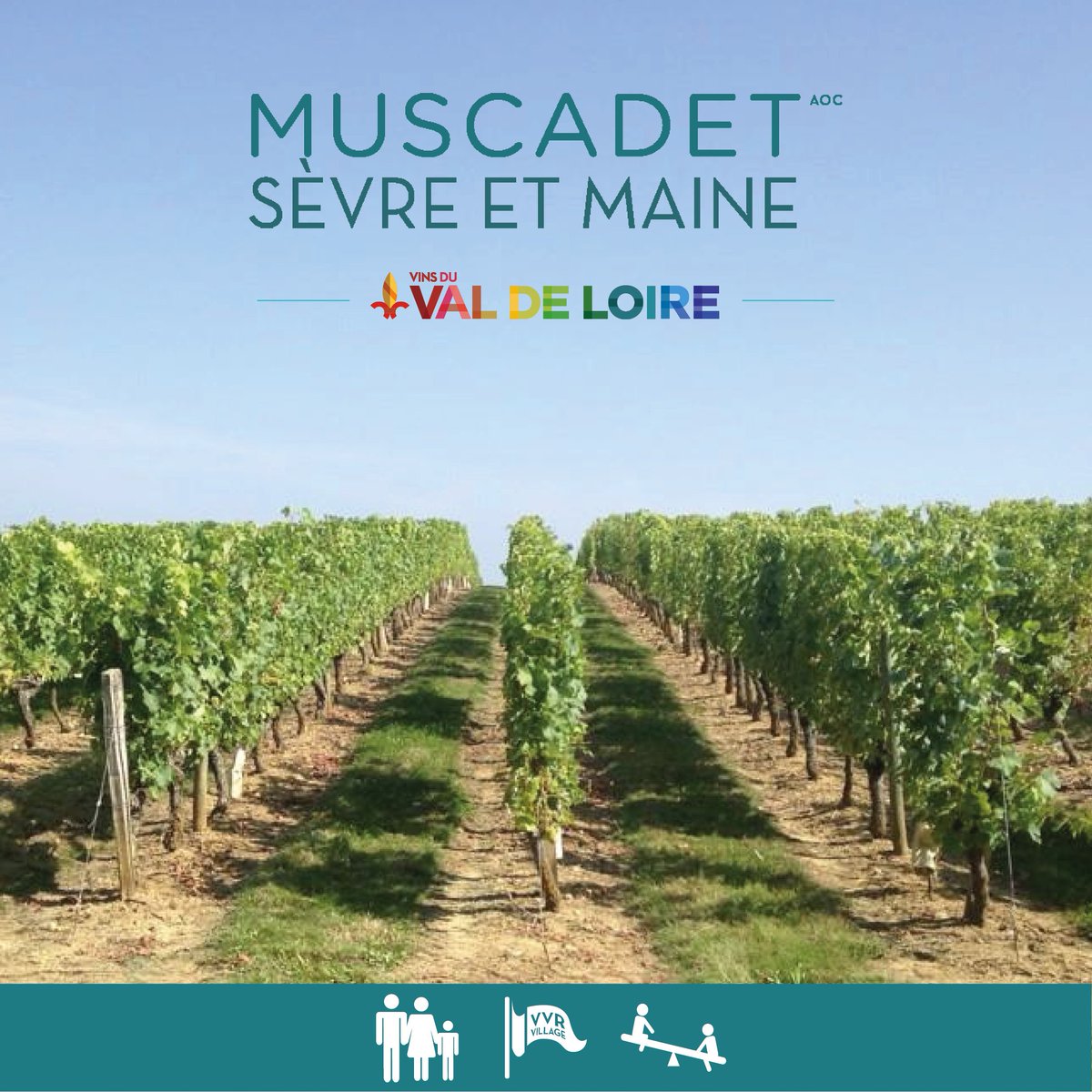 L’appellation muscadet sèvre-et-maine vous propose une randonnée ponctuée de magnifiques points de vue ! + d'infos : bit.ly/vvr17