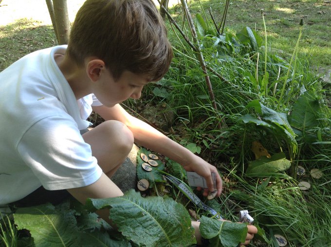 TabletopMag's tweet image. Created by a 14-year-old designer, Bug-Off is a wargame about battling insects that can be played anywhere ttgami.ng/2rwhPMd