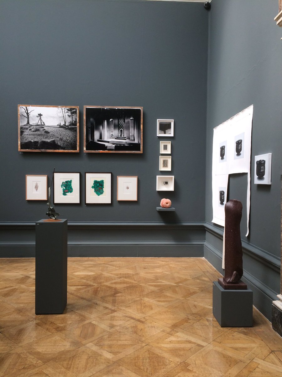 Zoe Dorelli tweet media