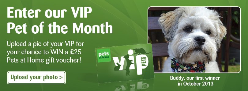 petsukofficial's tweet photo. There's still time to enter our Pet of the Month competition! Post your pics with the tag #VIPJul2017 https://t.co/sJDvd2np3L