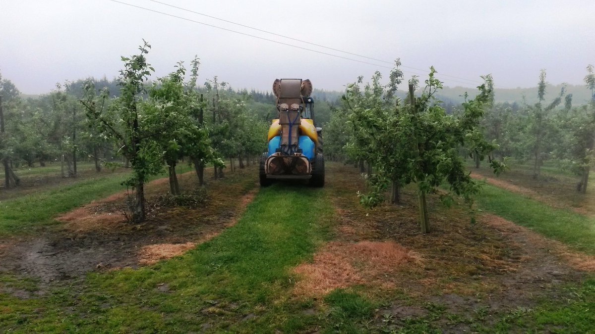 Vitifruit's tweet photo. Martignani Electrostatic sprayer with 2 added upper air outlets. https://t.co/HGfptEGwPh