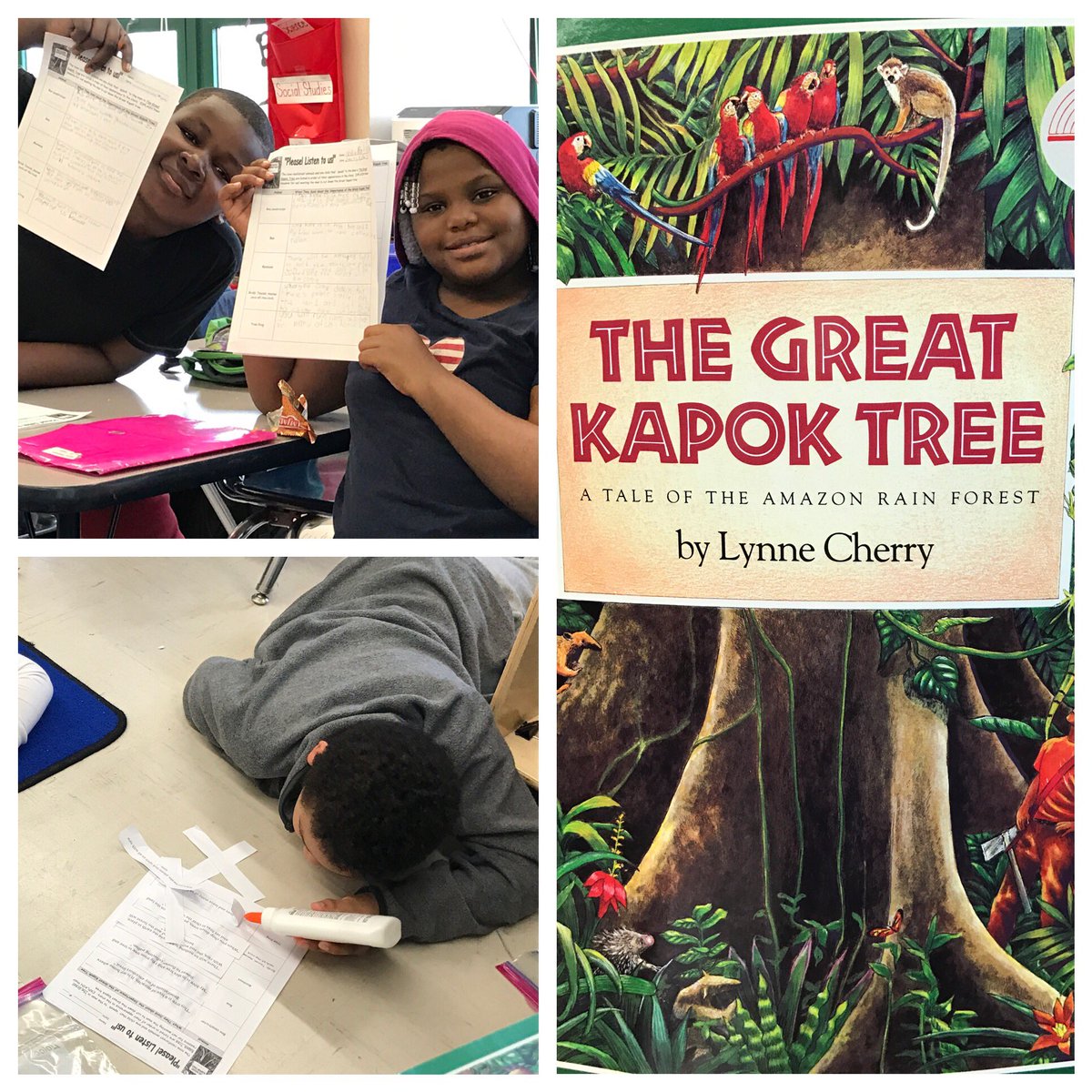 "Don't cut down the Kapok tree!!" Explaining the importance of the tree from each animals point of view. 🌳#76Q