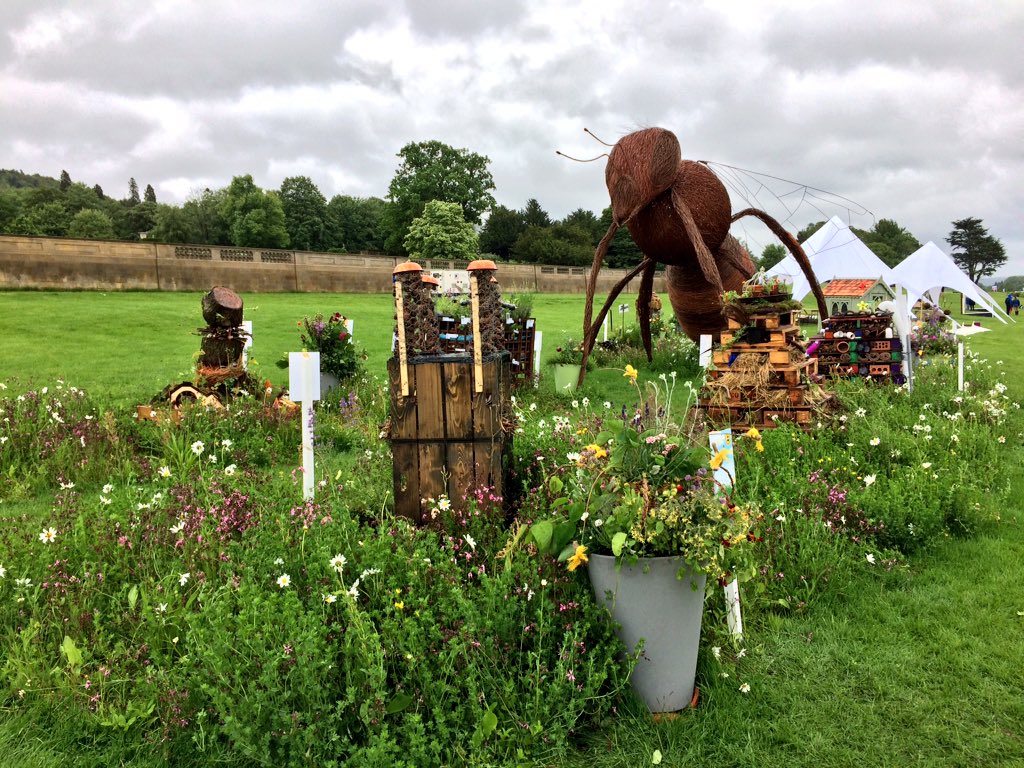 The_RHS's tweet photo. It's fair to say the weather isn't *ideal* today (🌧), but here are some of the sights you'll see as you enter #RHSChatsworth this week! https://t.co/Jl64xZ23RD