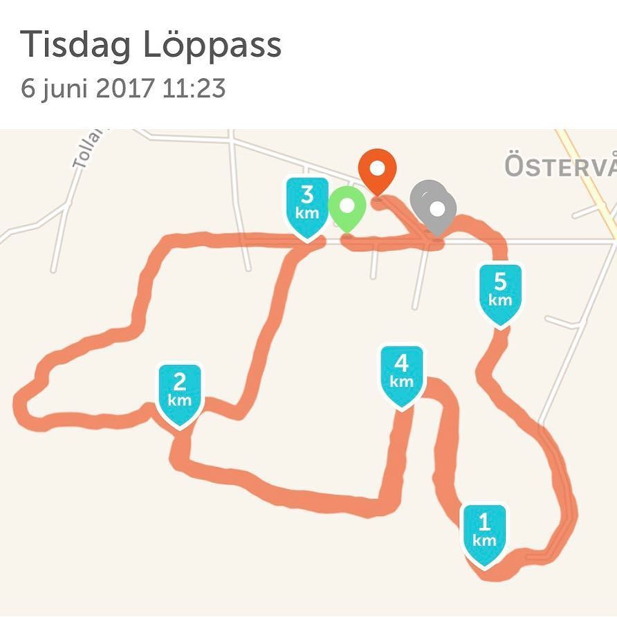 MarkusWalden's tweet photo. Provade spåren i Stackedala #backigt #prelunchrun https://t.co/MEnXOthbWf https://t.co/CZjeHSSJZD